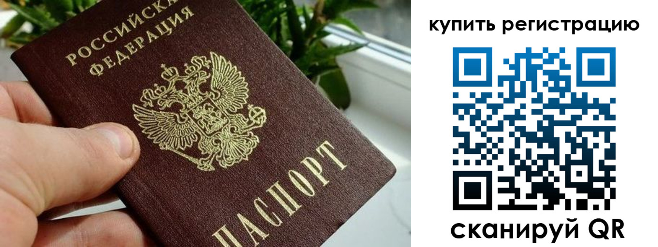 прописка гарантия в Бикине